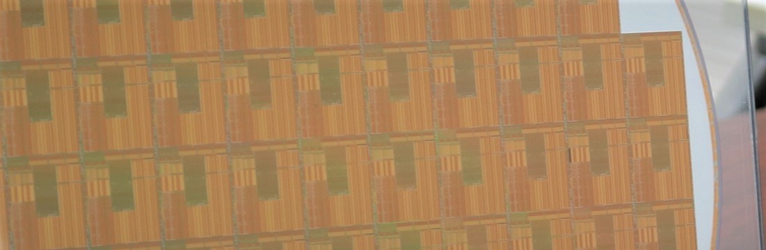 ～研究者スポットライト～